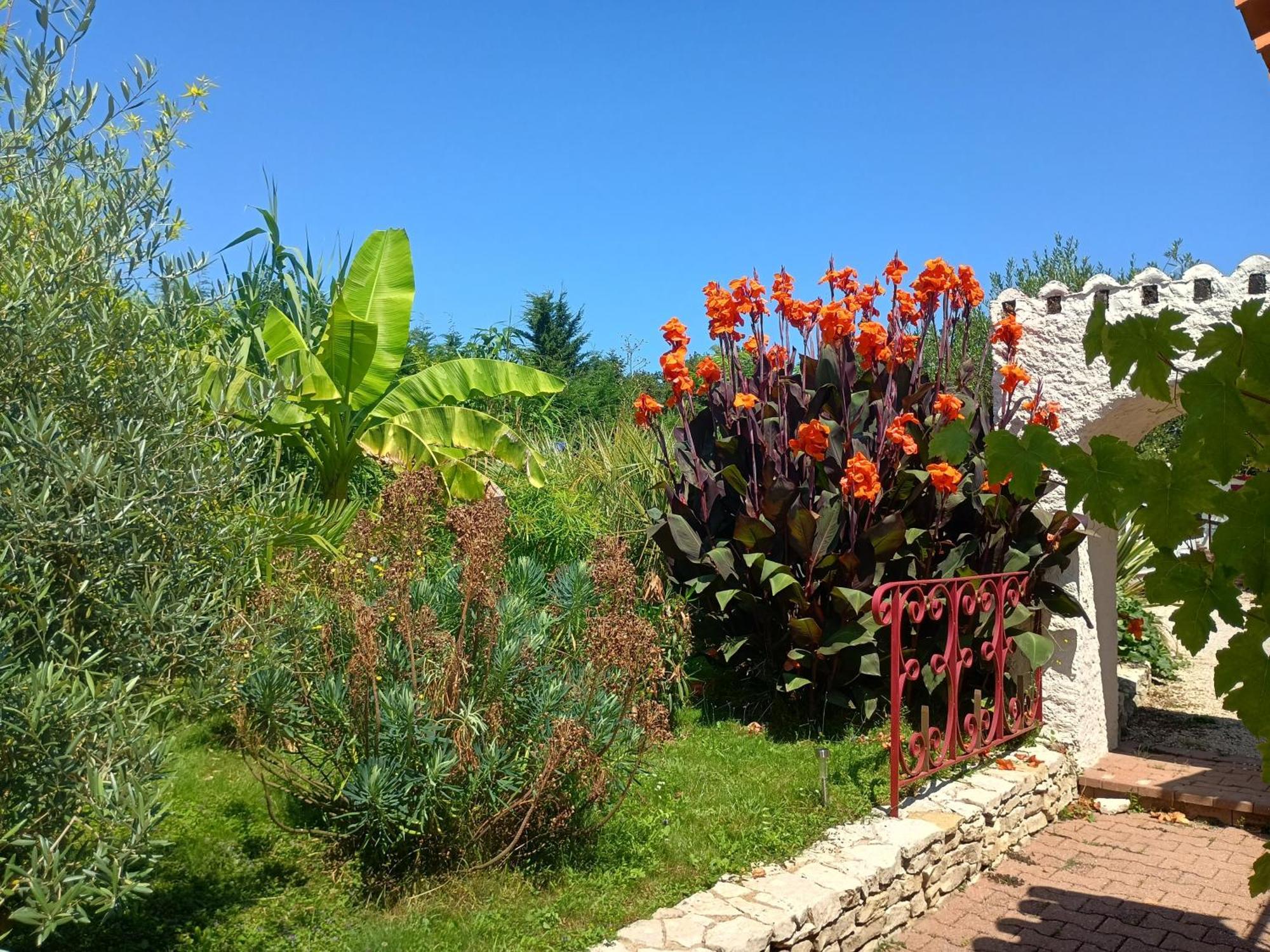 G1 Les Oliviers Vila Saint-Germain-de-Princay Exterior foto